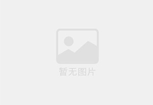 新型全自动新型搅拌式油炸机
